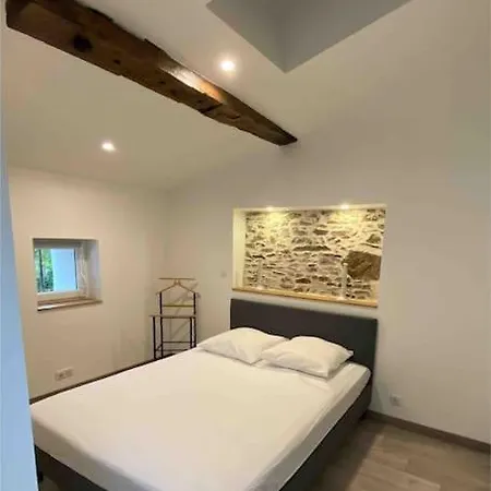 « Le Chai » Charme, Spa Et Massages En Vignoble La Haie-Fouassiere Exterior foto